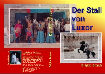 Bitte 1 x Klick: Youtube-Trailer über das Buch "Der STall  in Luxor"